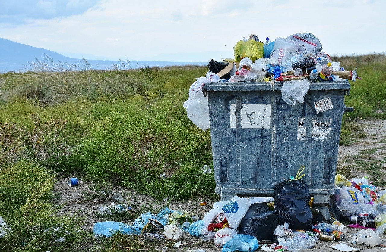 Sustainable habits for reducing unnecessary digital storage.