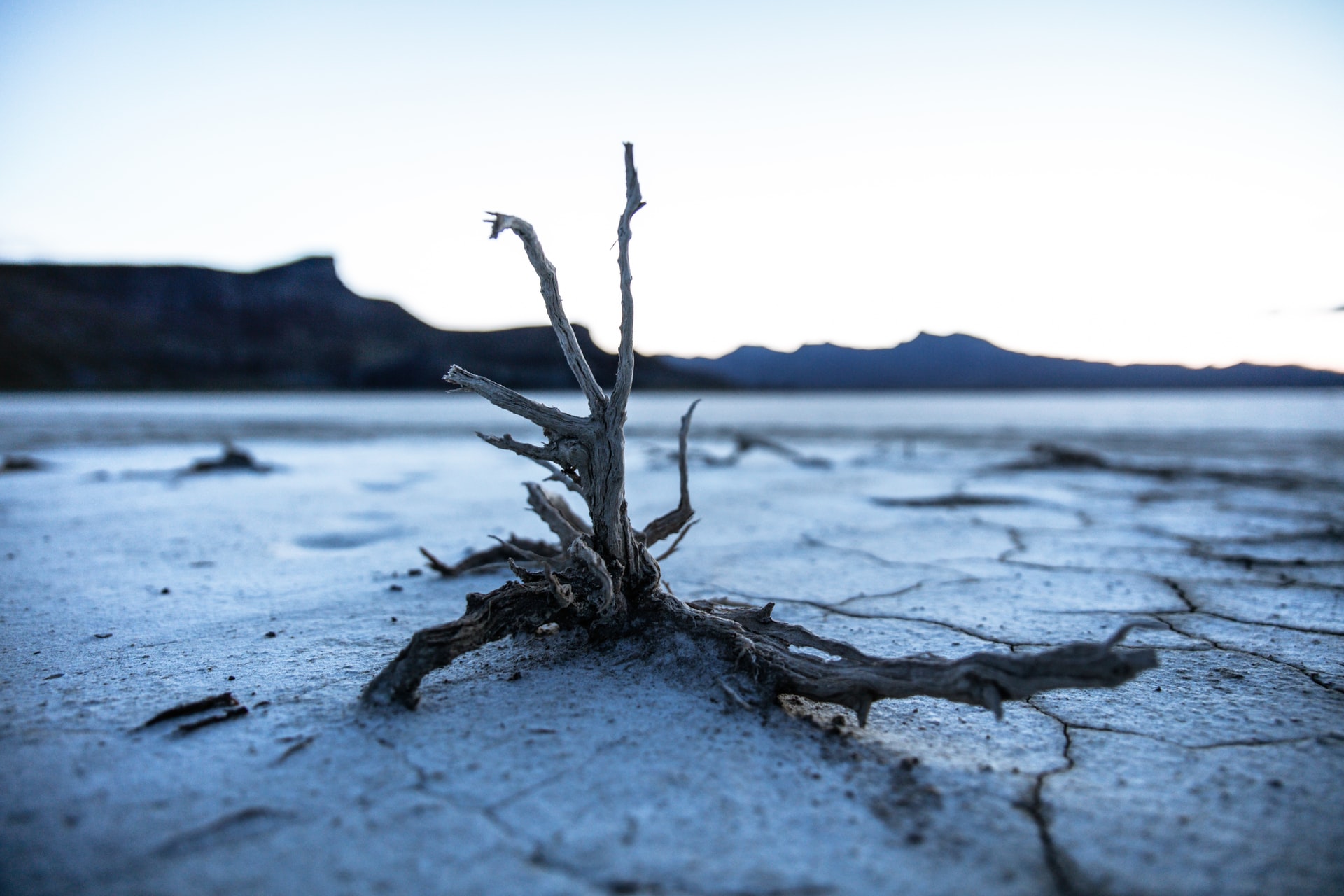 Natural landscape contrasted with continued digital growth.